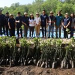 Penanaman 2.000 bibit mangrove Perumdam Tirta Mangutama di Pemogan