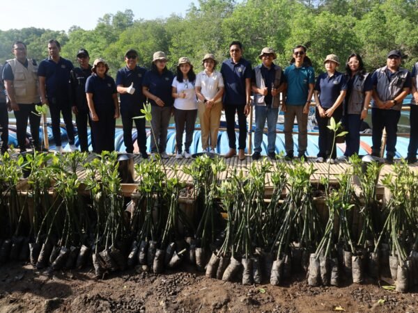 Penanaman 2.000 bibit mangrove Perumdam Tirta Mangutama di Pemogan