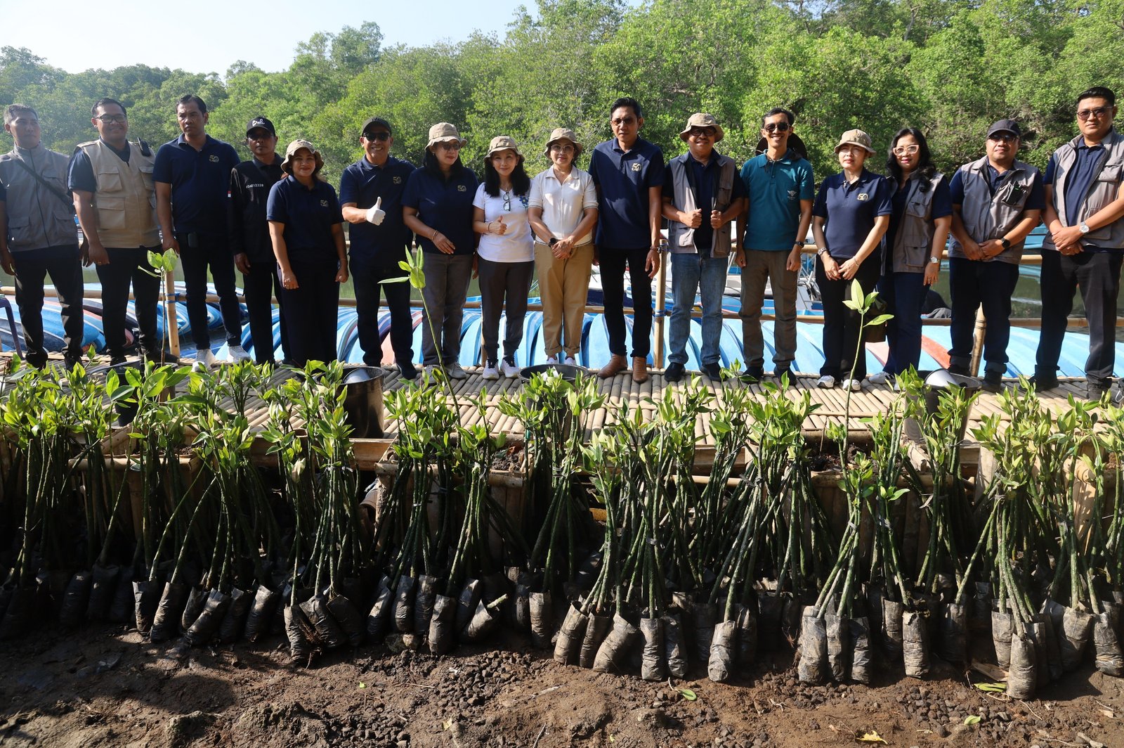 Penanaman 2.000 bibit mangrove Perumdam Tirta Mangutama di Pemogan