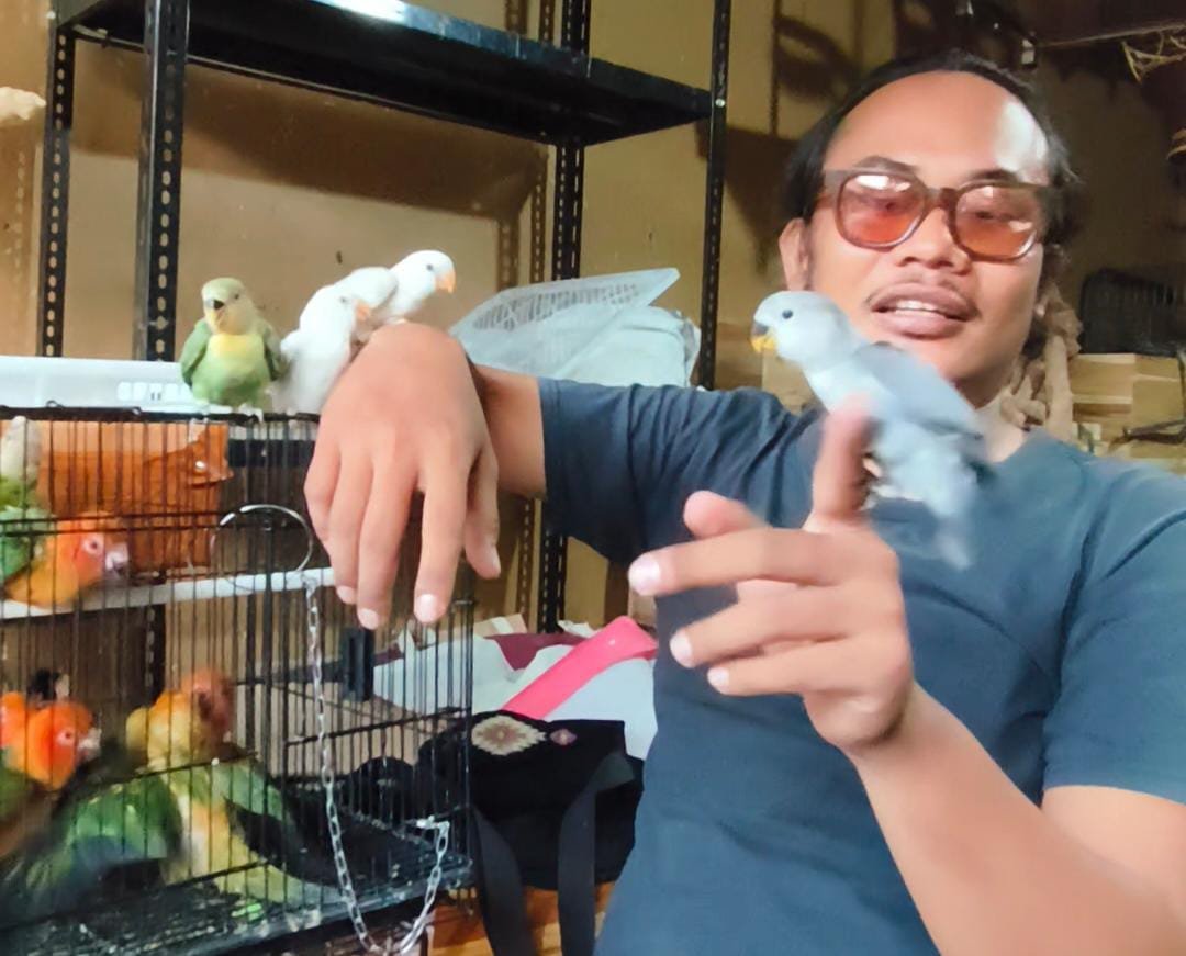 Bali Tropical Parrot kembangkan usaha burung paruh bengkok di Denpasar.